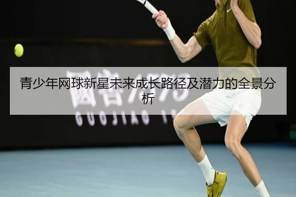青少年网球新星未来成长路径及潜力的全景分析