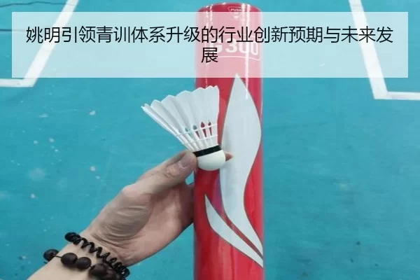 姚明引领青训体系升级的行业创新预期与未来发展